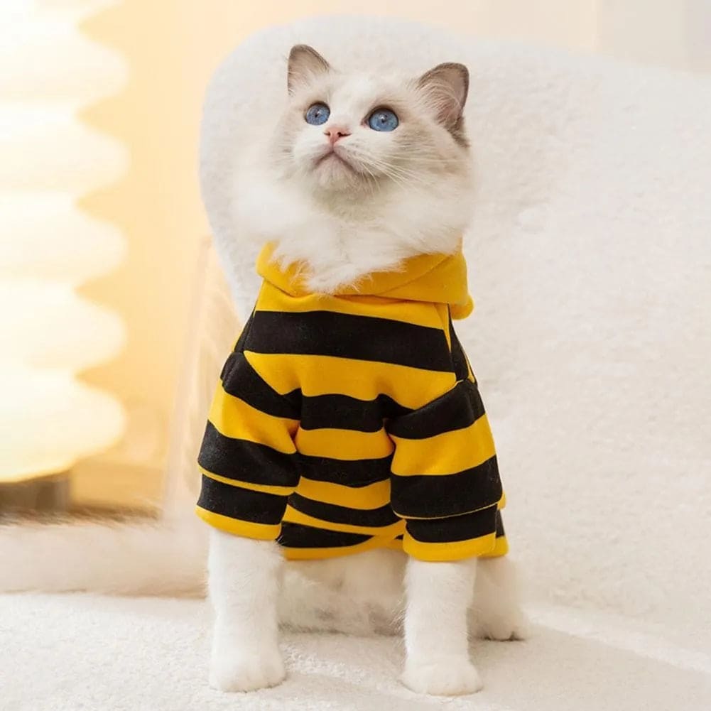 BuzzPaws™ – Cozy Bee Cat Hoodie