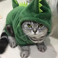 DinoPaws™ – The Cozy Dinosaur Hoodie for Cats