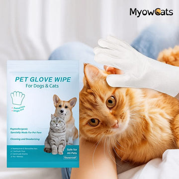 FreshPaws™ – Disposable Grooming Glove Wipes