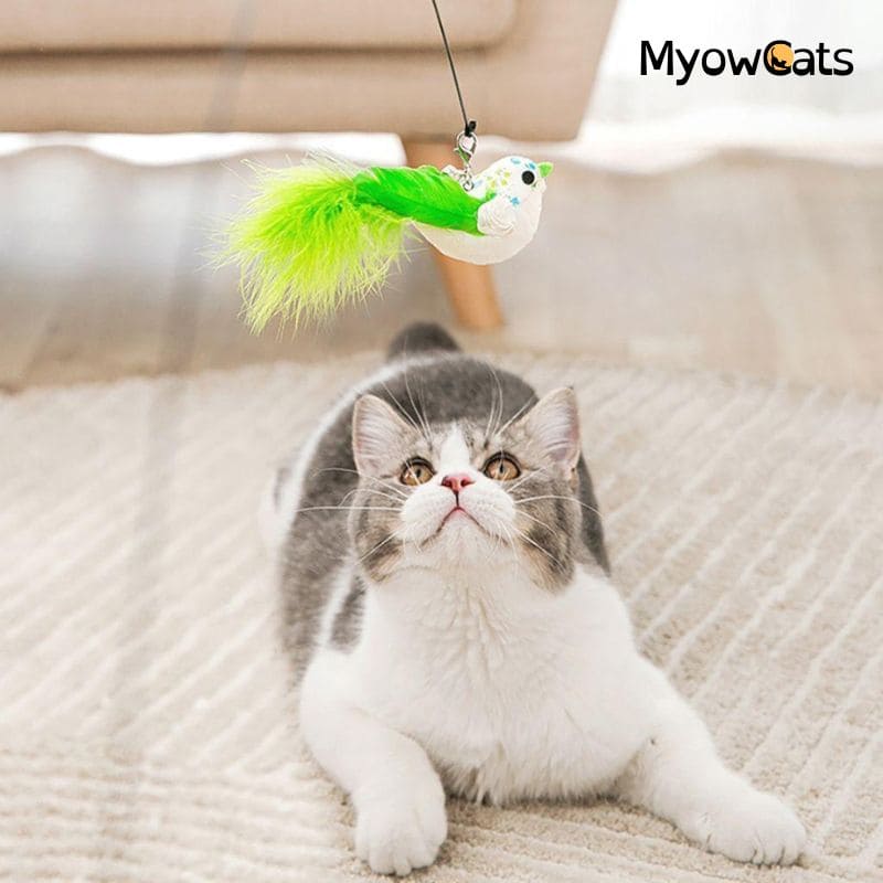 HuntPlay™ – Interactive Cat Hunting Toy