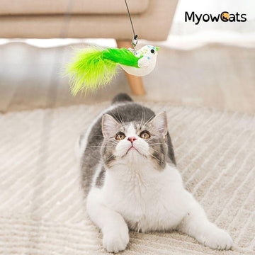 HuntPlay™ – Interactive Cat Hunting Toy