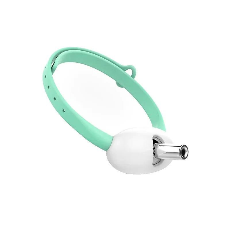 LaserPurr™ – Smart Automatic Cat Teasing Collar (USB Rechargeable)