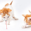 LaserPurr™ – Smart Automatic Cat Teasing Collar (USB Rechargeable)