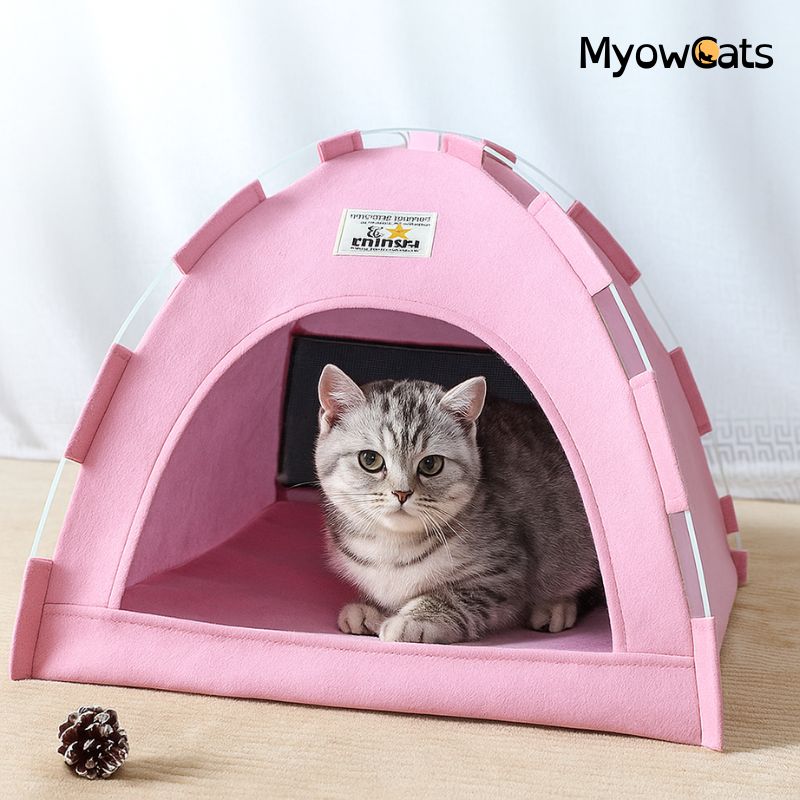 PurrDome™ – Foldable Refreshing Cat Tent for All Seasons