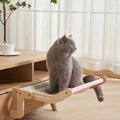 PurrLounge™ – The Ultimate Comfort Lookout for Cats