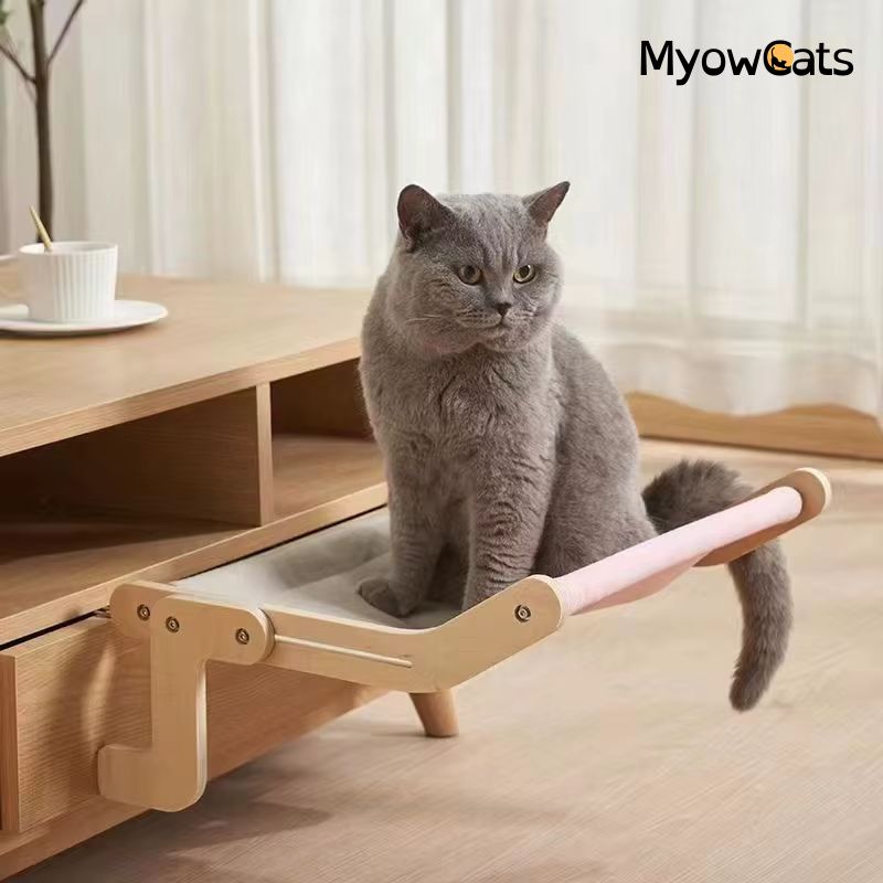 PurrLounge™ – The Ultimate Comfort Lookout for Cats