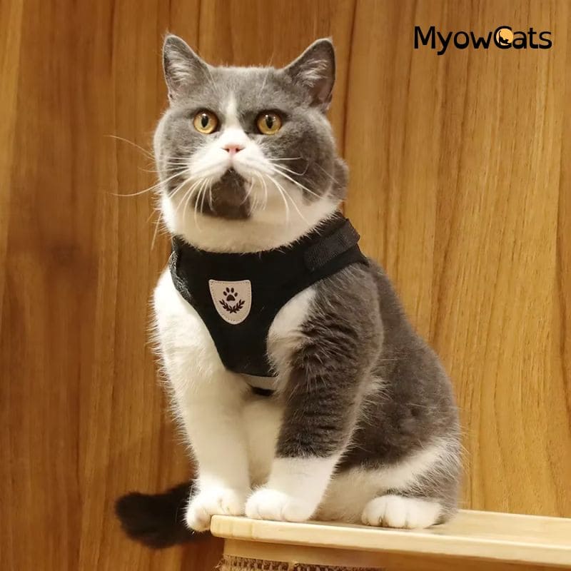 SafePurr™ – Escape-Proof & Breathable Cat Harness