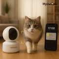 SecureView™ PetCam – Smart 3MP Cat Monitoring Camera