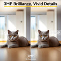 SecureView™ PetCam – Smart 3MP Cat Monitoring Camera