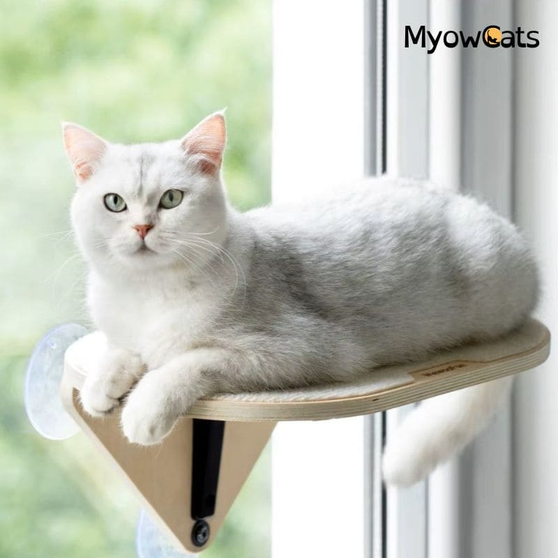 SkyLounge™ – Window-Mounted Cat Platform with Reinforced Suction Cups