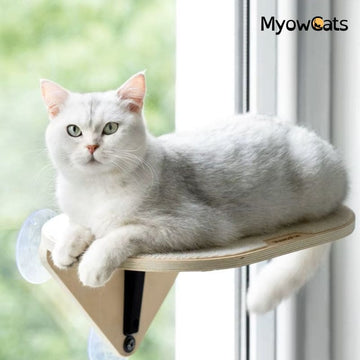 SkyLounge™ – Window-Mounted Cat Platform with Reinforced Suction Cups