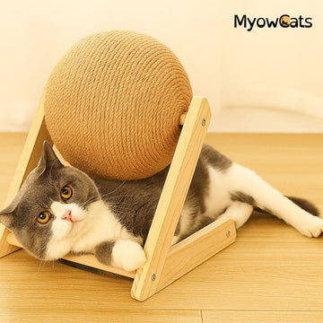 SpinPaw™ – Interactive Sisal Scratch Ball for Cats