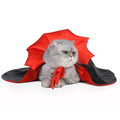 VampiPaws™ – Enchanted Cat Vampire Cloak