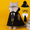 WizardPaws™ – Halloween Magic Academy Costume for Cats
