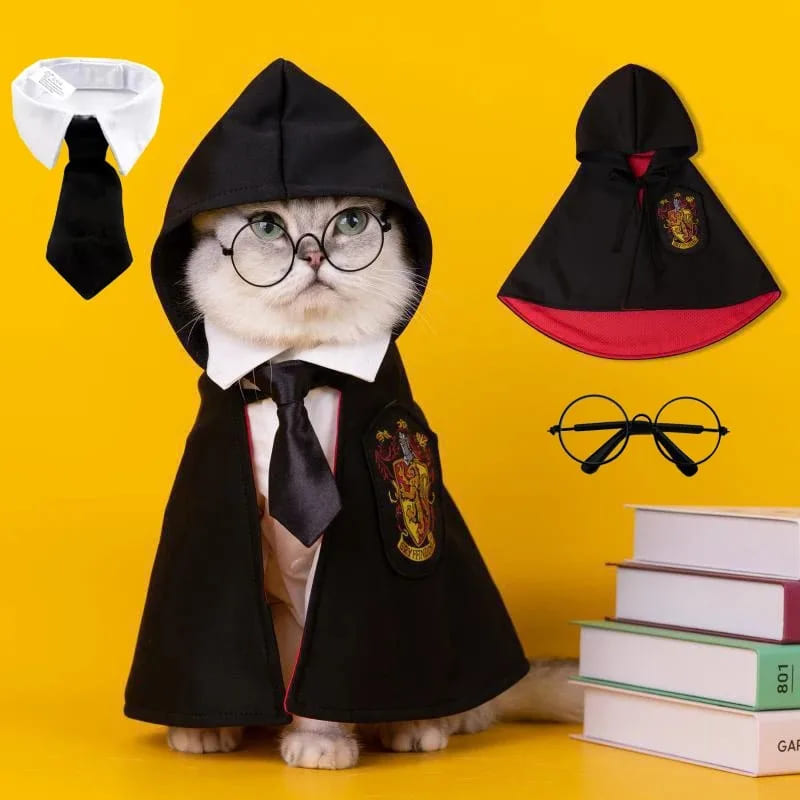 WizardPaws™ – Halloween Magic Academy Costume for Cats