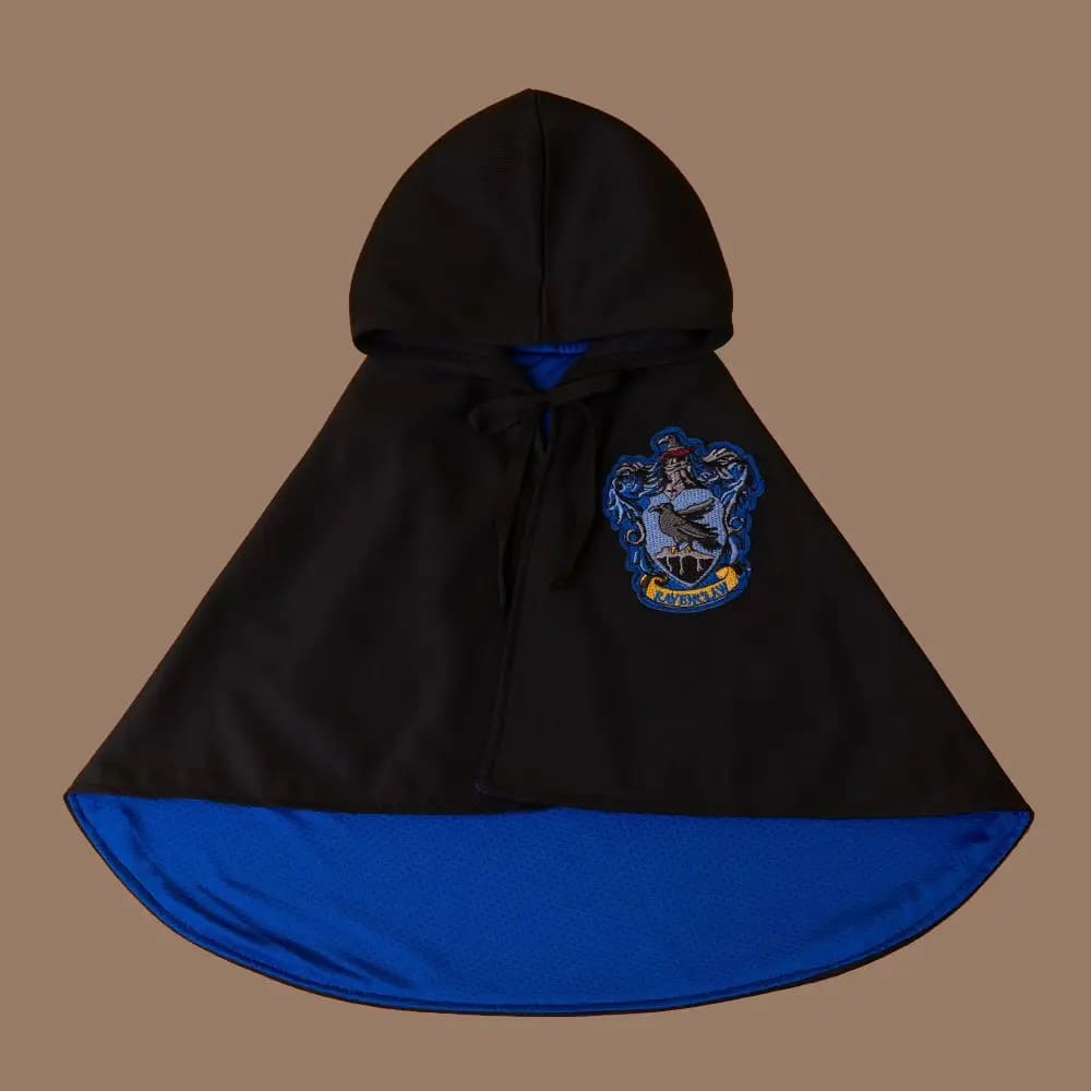 WizardPaws™ – Halloween Magic Academy Costume for Cats
